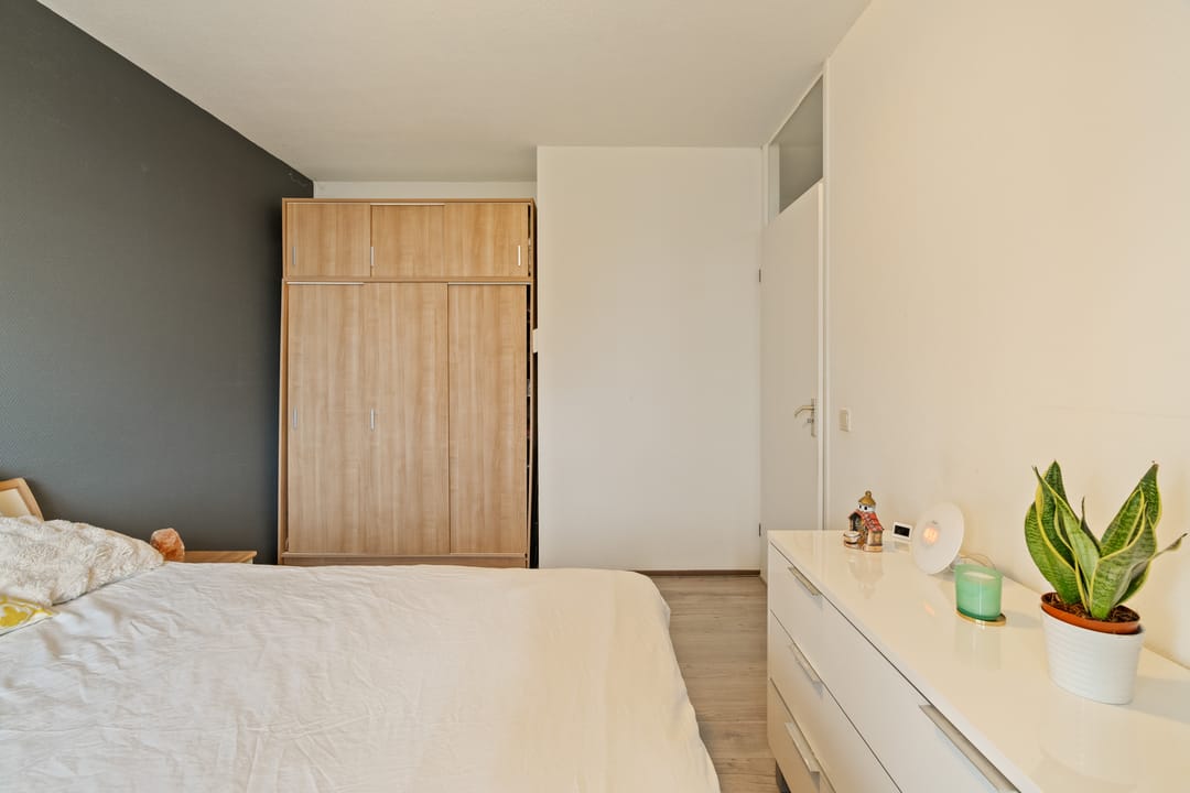 Foto 11 van Rigoletto 137