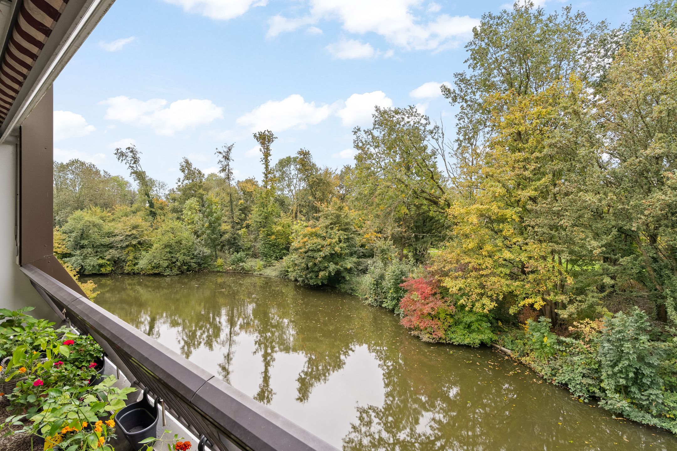 Foto 18 van Rigoletto 137