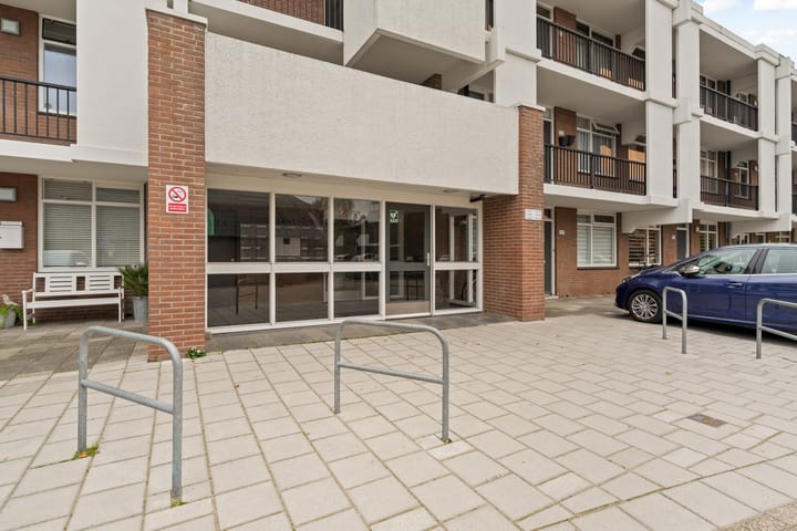 Photo 23 of Rigoletto 137