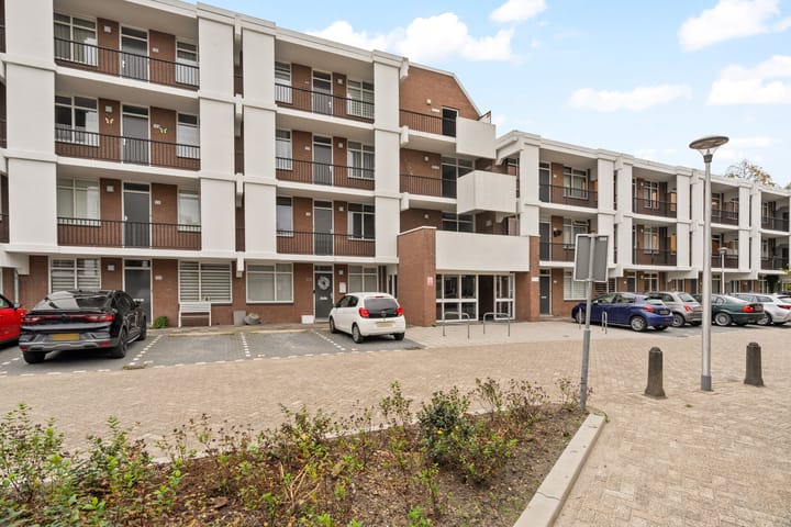 Photo 24 of Rigoletto 137