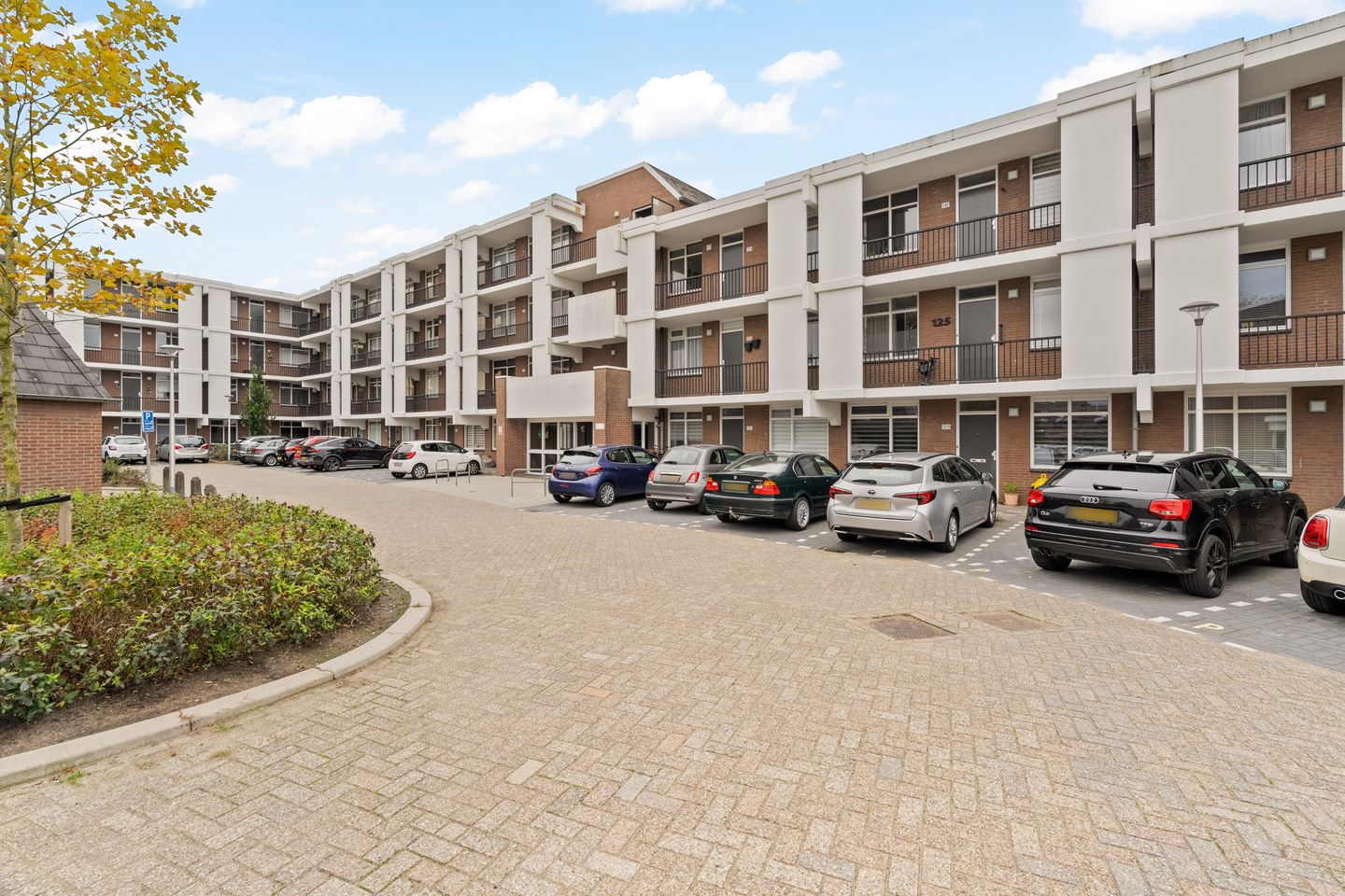 Foto 25 van Rigoletto 137