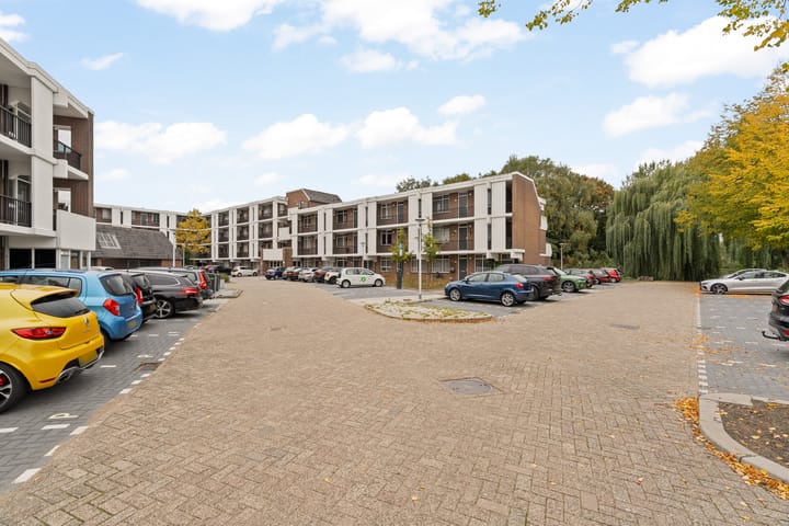 Photo 26 of Rigoletto 137