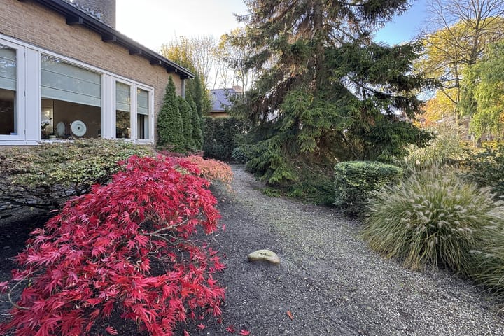 Foto 81 van Wilhelminapark 31