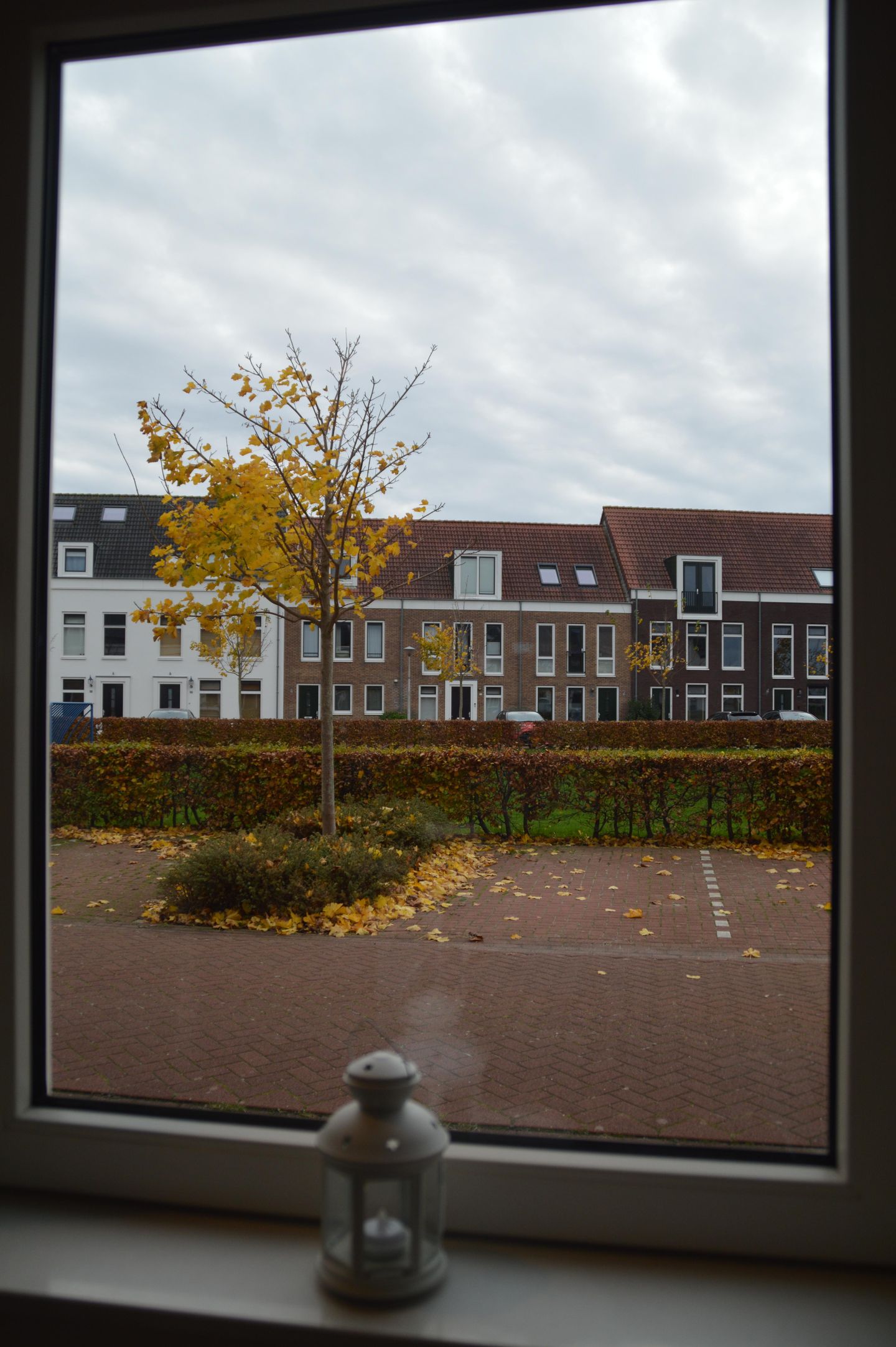 Foto 59 van It Bynt 22