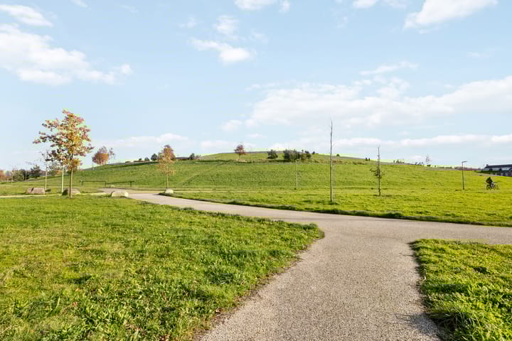 Photo 42 of Rita Reyshof 4