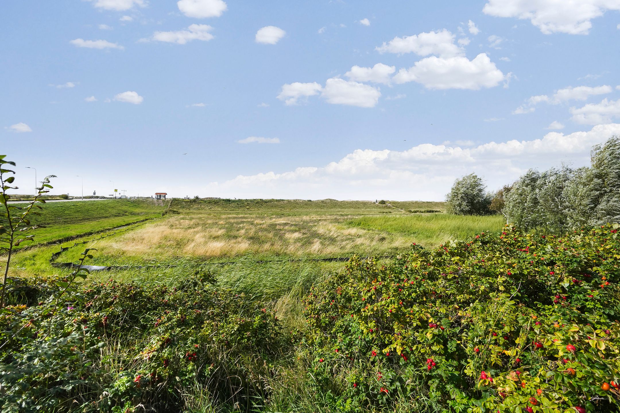 Photo 48 of Rijnweg 301