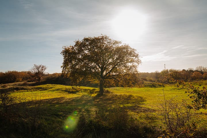 Foto 72 van FHG v Itersonlaan 44