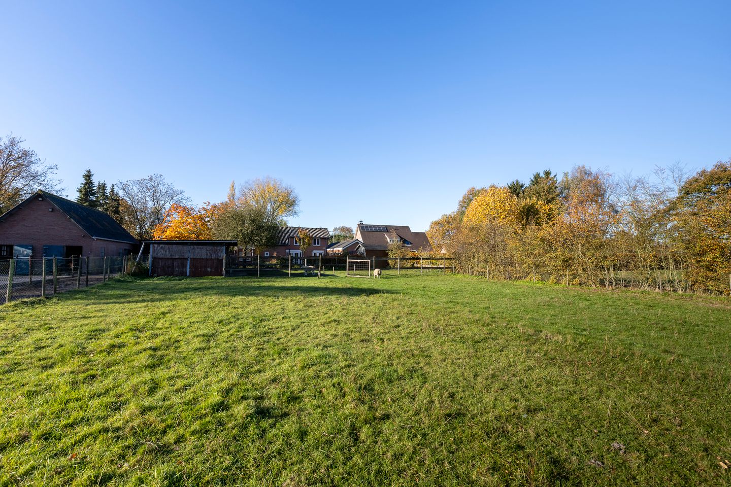 Photo 4 of Mutsestraat 15