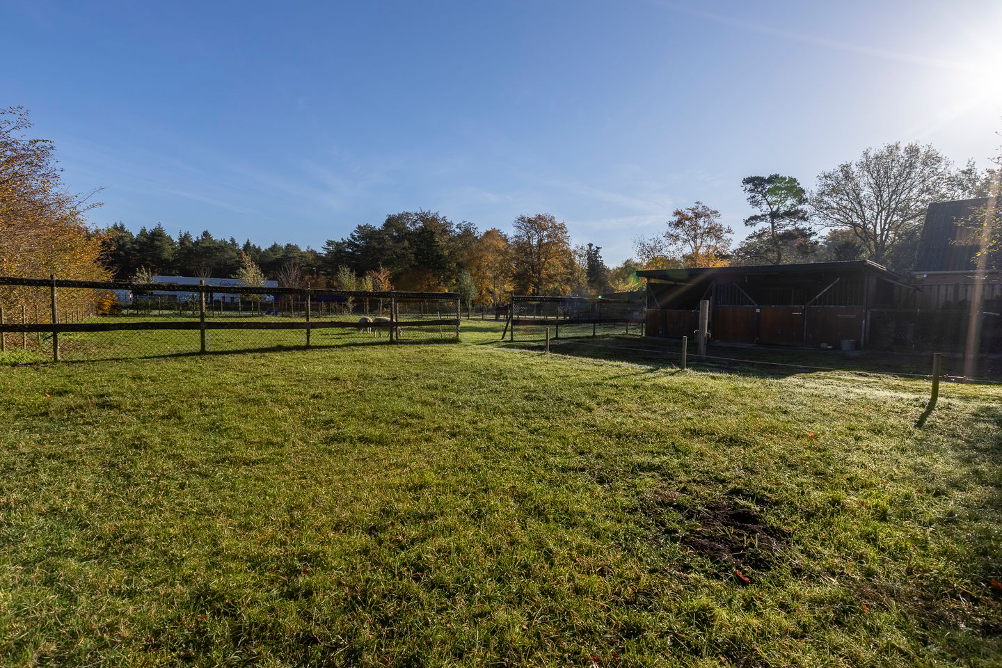 Photo 5 of Mutsestraat 15