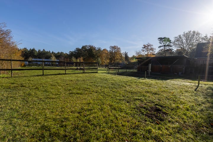 Photo 5 of Mutsestraat 15