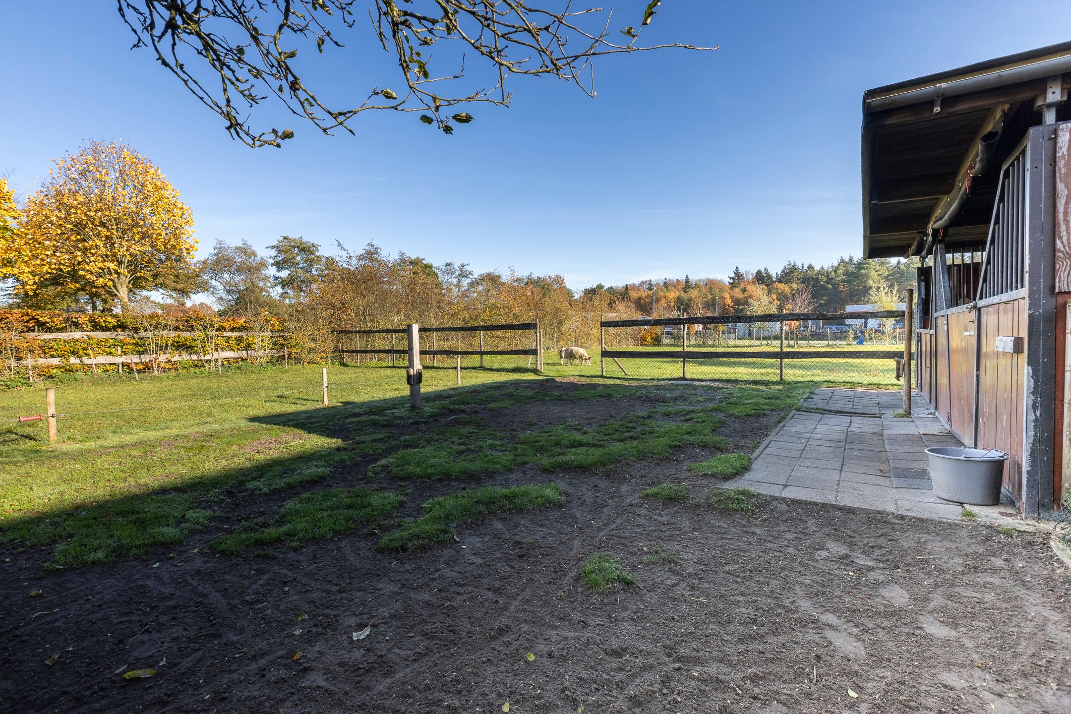 Photo 57 of Mutsestraat 15