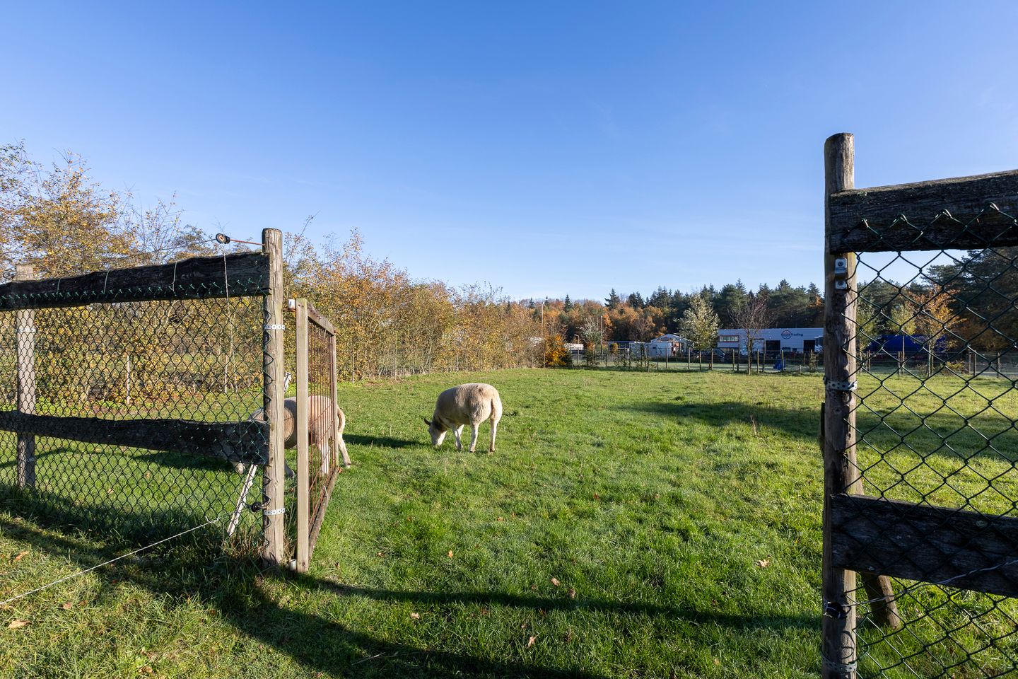 Photo 59 of Mutsestraat 15