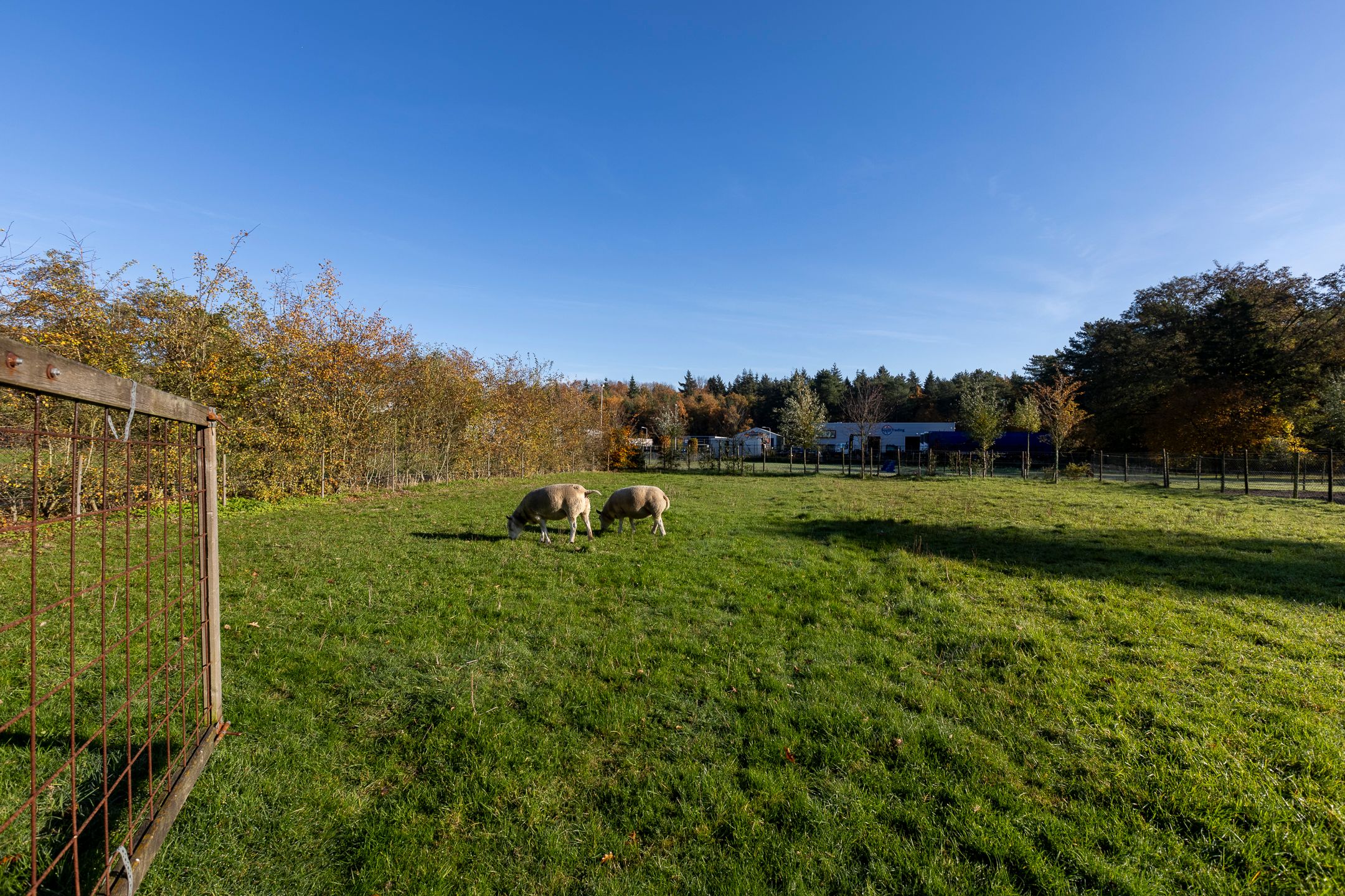 Photo 60 of Mutsestraat 15