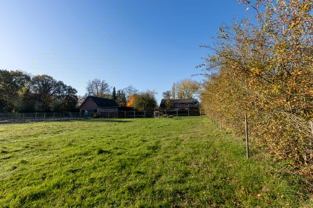 Photo 61 of Mutsestraat 15