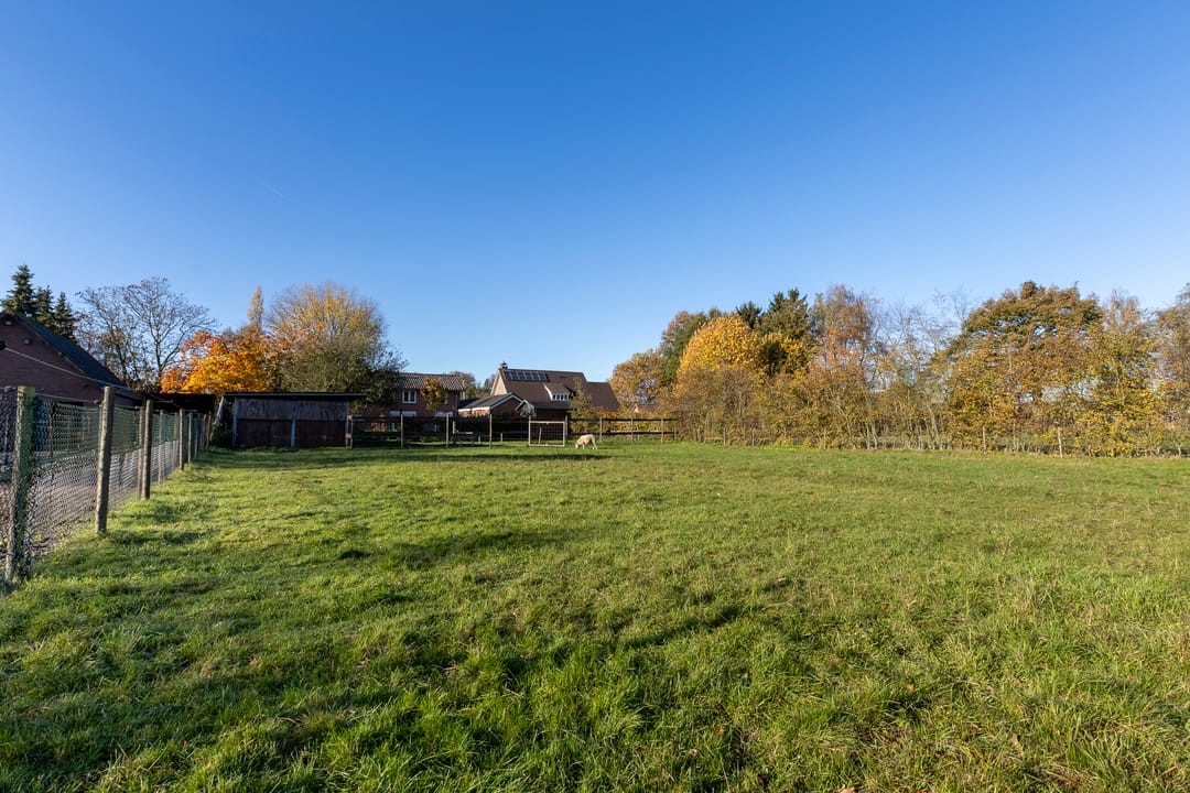 Photo 62 of Mutsestraat 15