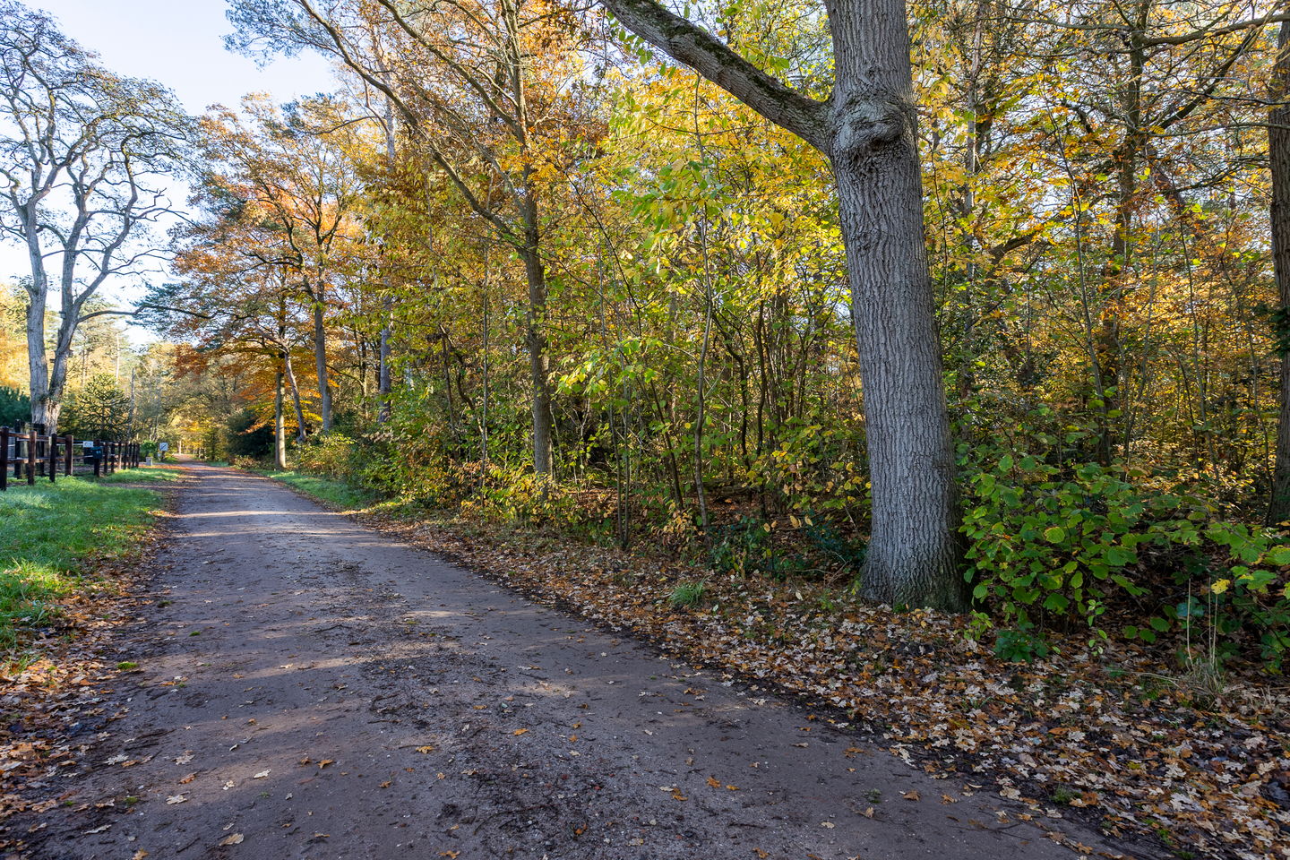 Photo 70 of Mutsestraat 15