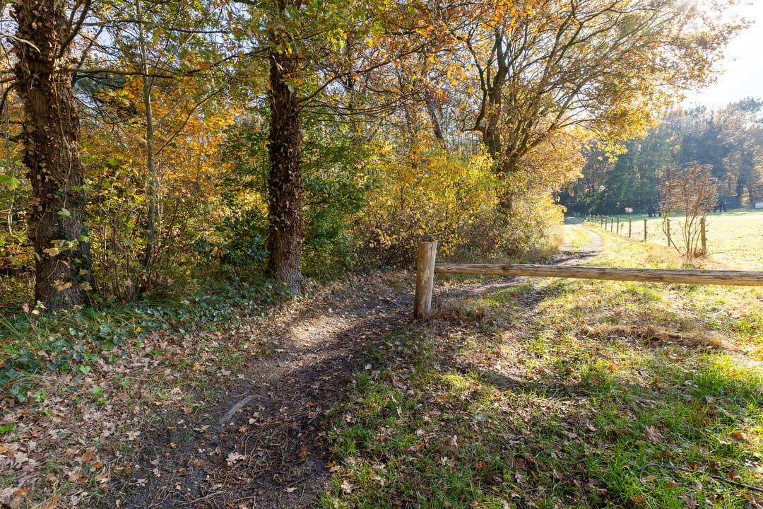 Photo 71 of Mutsestraat 15