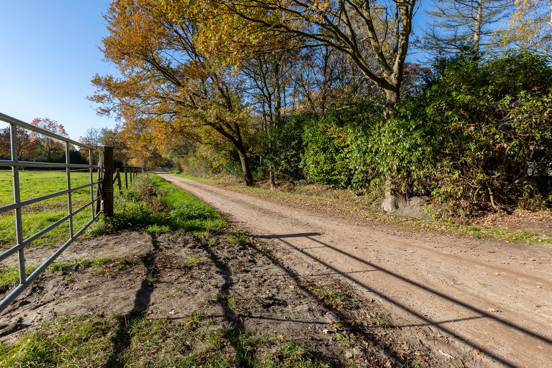 Photo 72 of Mutsestraat 15