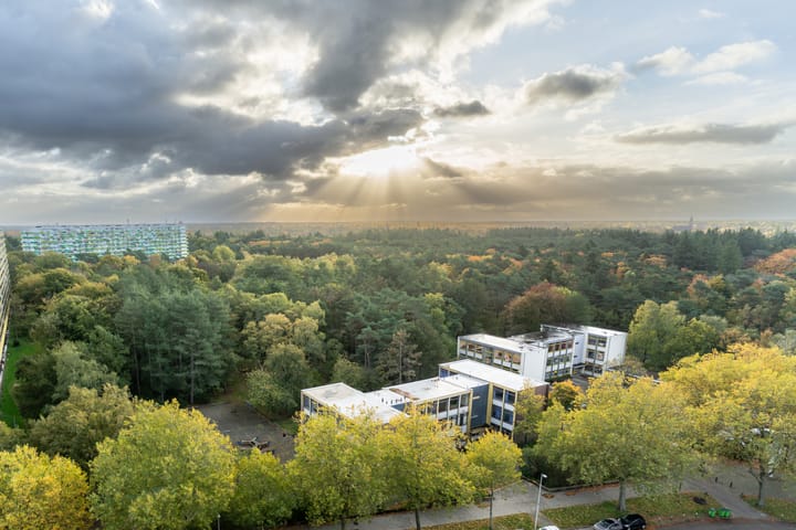 Foto 4 van Laan van Vollenhove 622