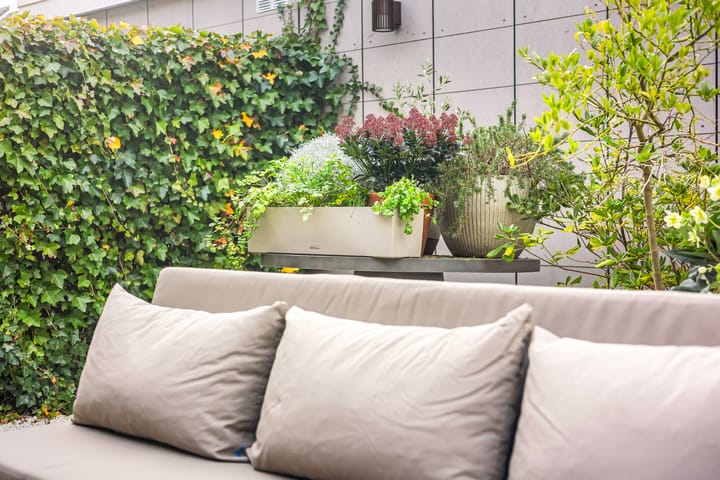 Photo 25 of Tulpenburg 4