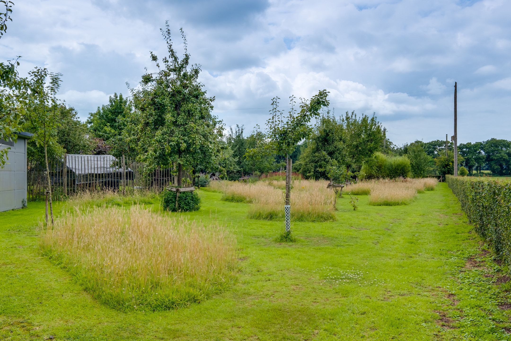 Foto 36 van Needse Tolweg 25