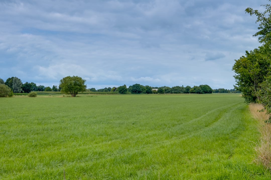 Foto 37 van Needse Tolweg 25