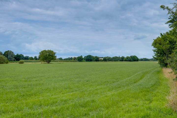 Foto 37 van Needse Tolweg 25