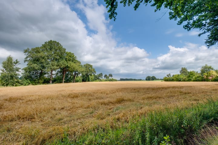 Foto 41 van Needse Tolweg 25