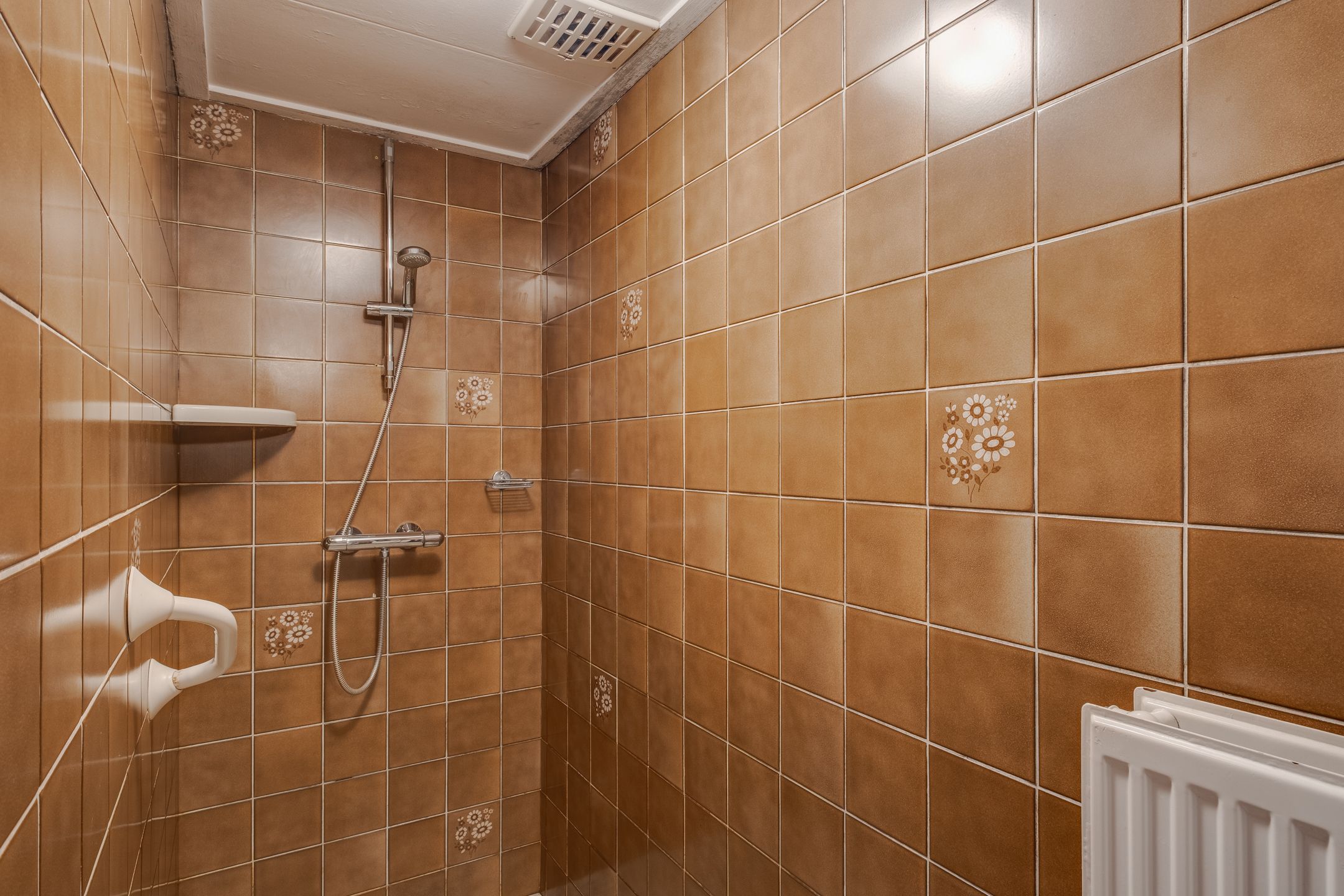 Foto 12 van Needse Tolweg 25