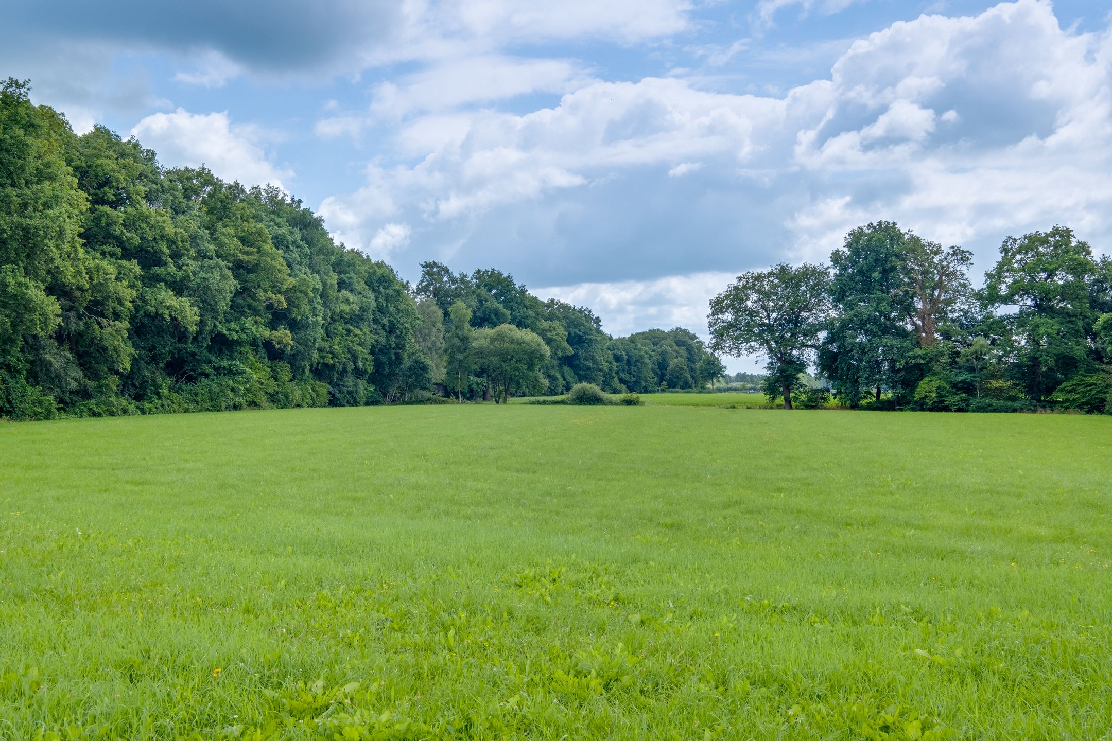 Foto 42 van Needse Tolweg 25