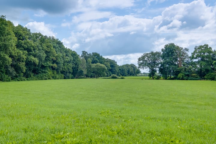 Foto 42 van Needse Tolweg 25