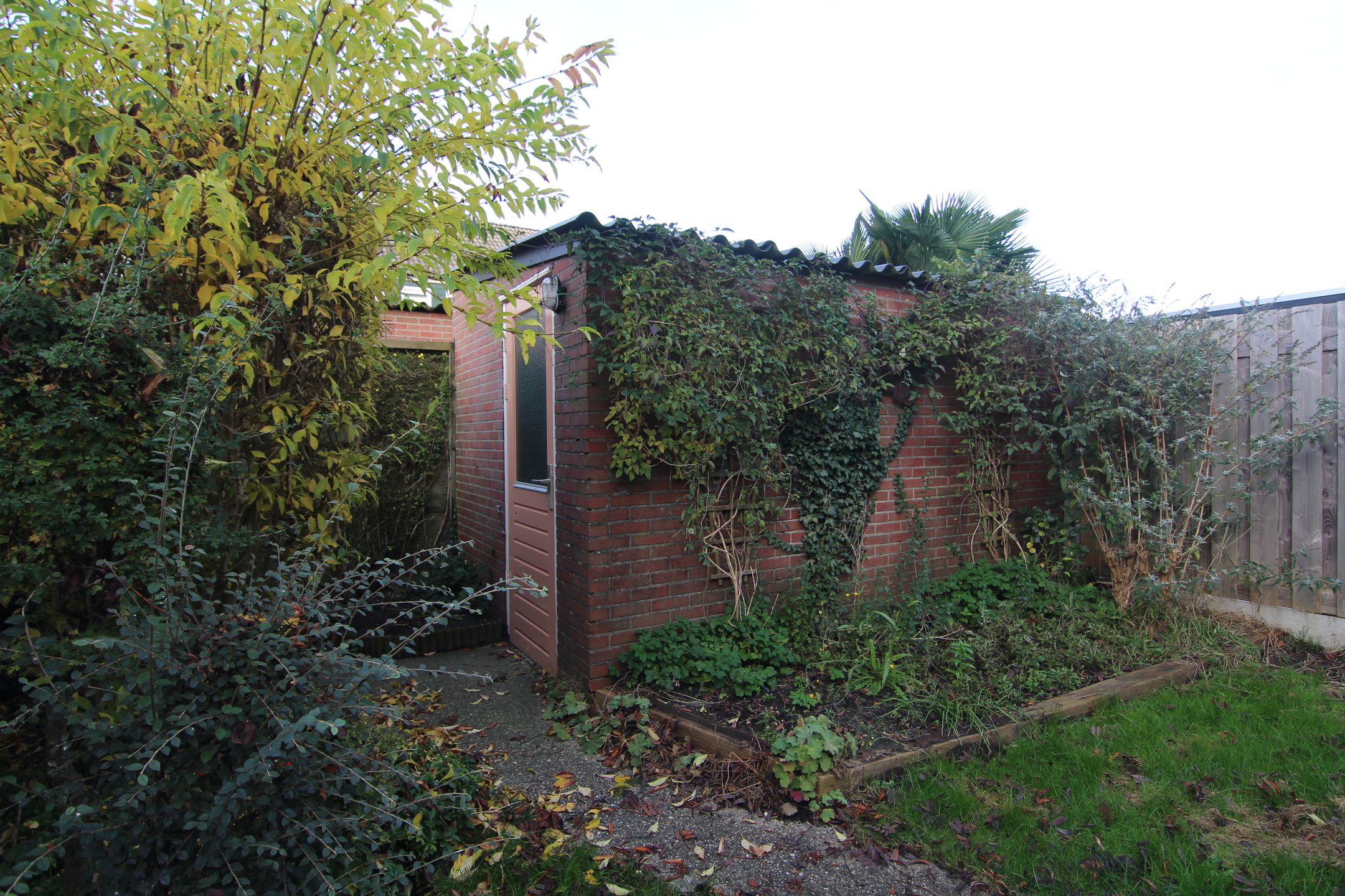 Foto 18 van Iepensingel 57