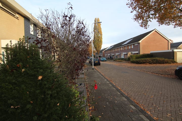 Photo 19 of Iepensingel 57