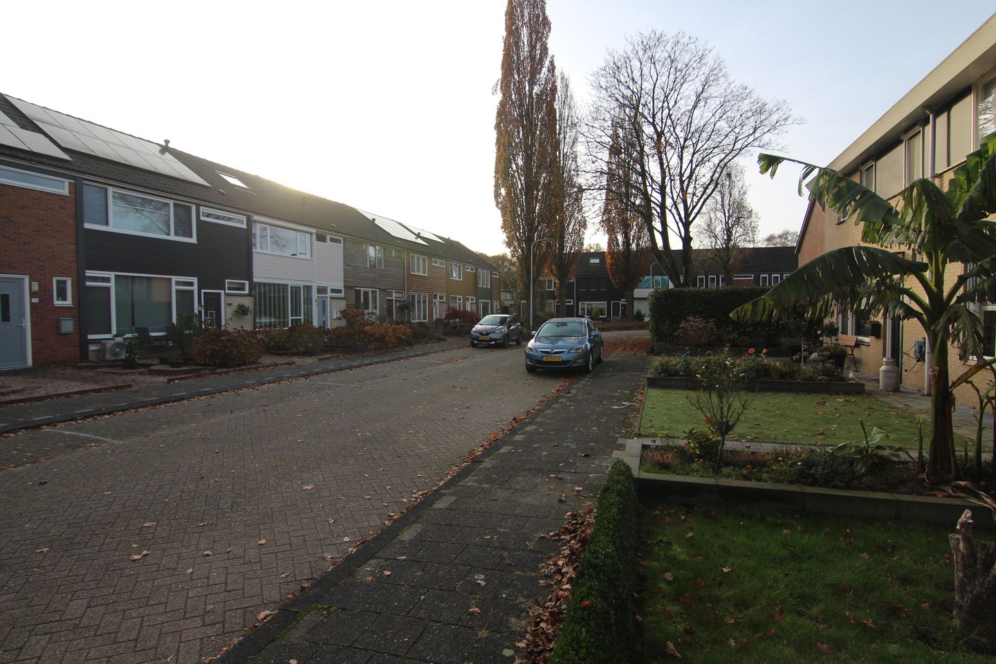 Foto 20 van Iepensingel 57