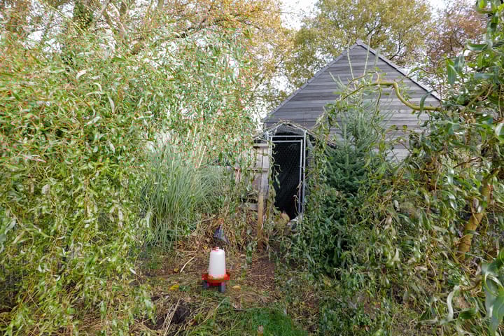 Photo 25 of Tramweg 73