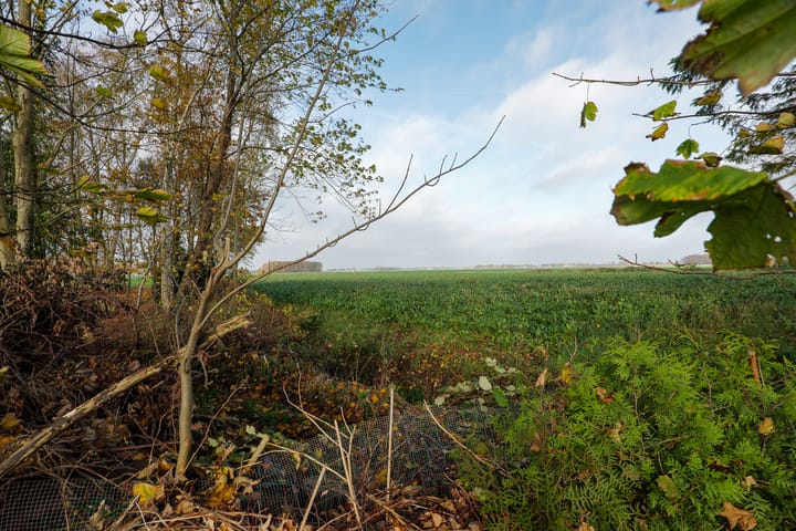 Photo 28 of Tramweg 73