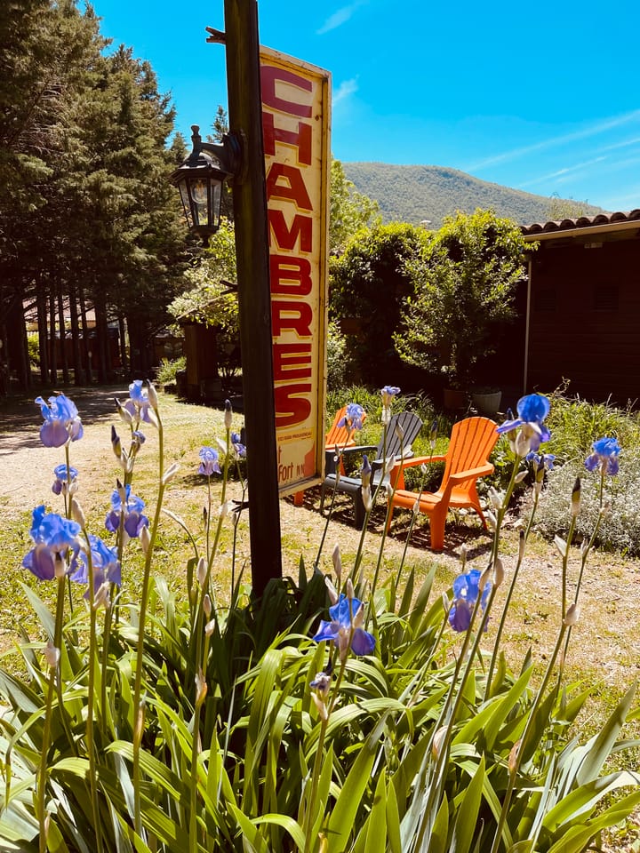 Foto 12 van Alguines