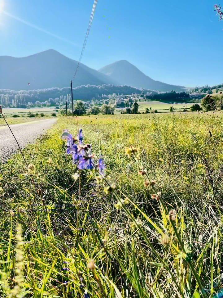 Foto 13 van Alguines