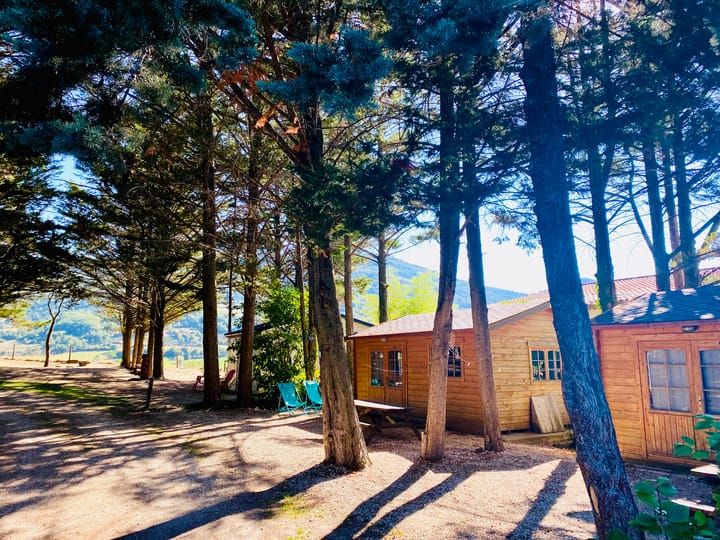 Foto 14 van Alguines