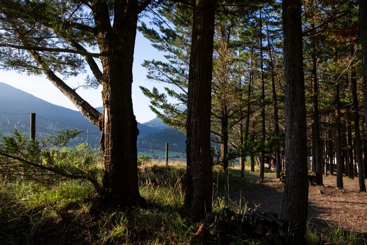 Foto 17 van Alguines