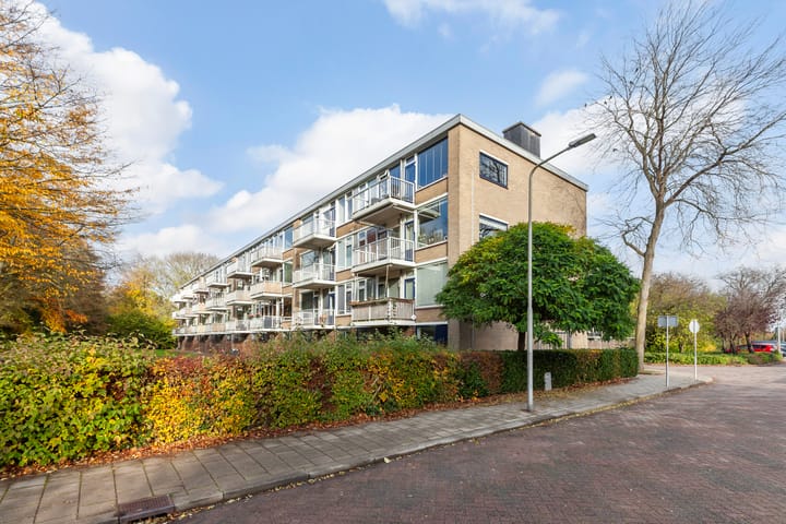 Photo 29 of Mozartstraat 174