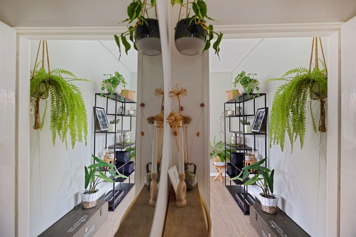 Photo 5 of Westerparkstraat 39