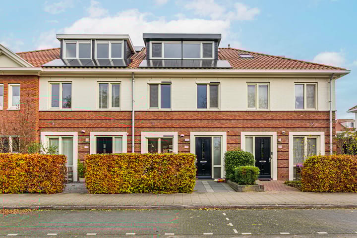 Remus 186 main image