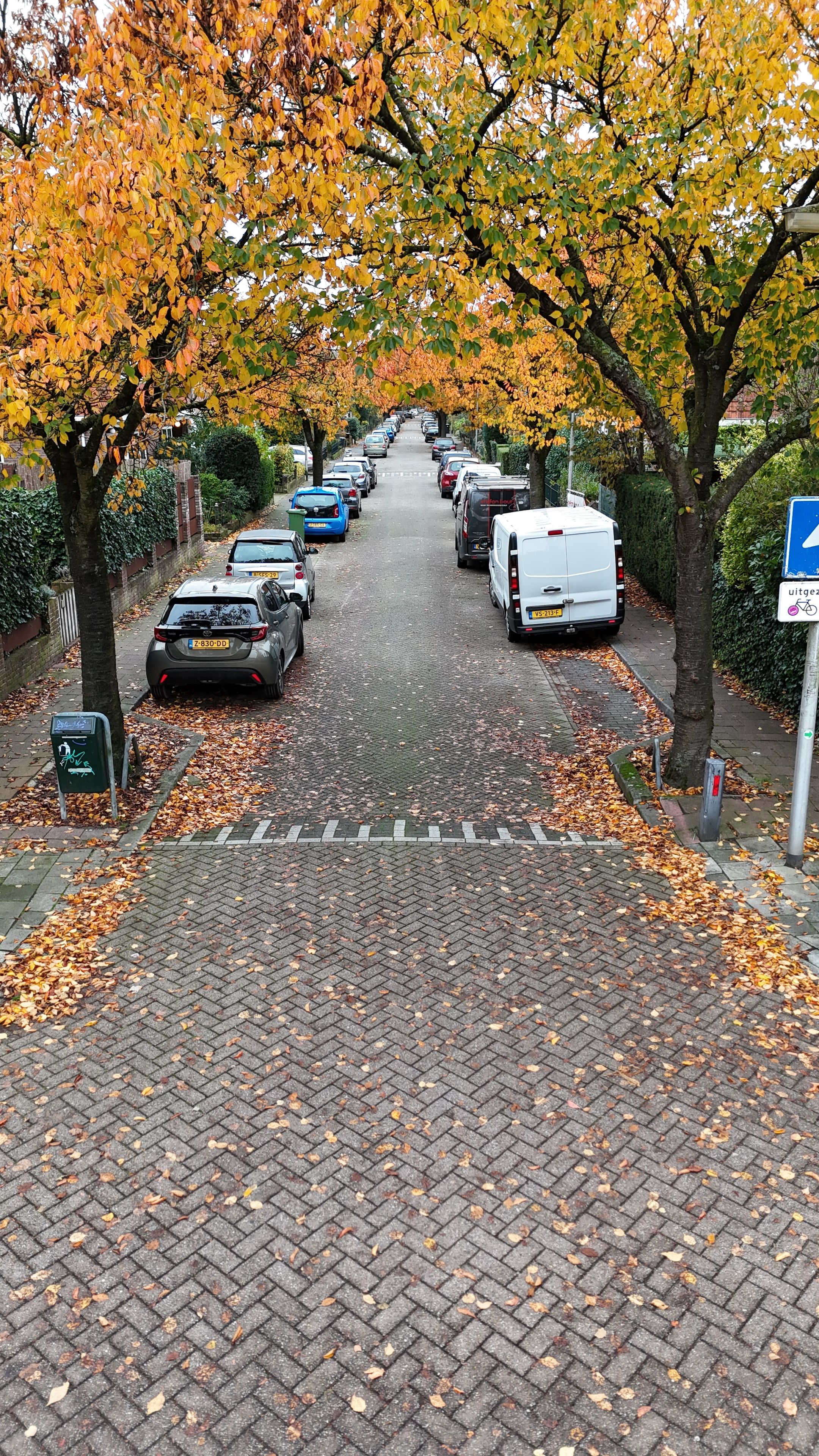 Photo 33 of Bijlstraat 48