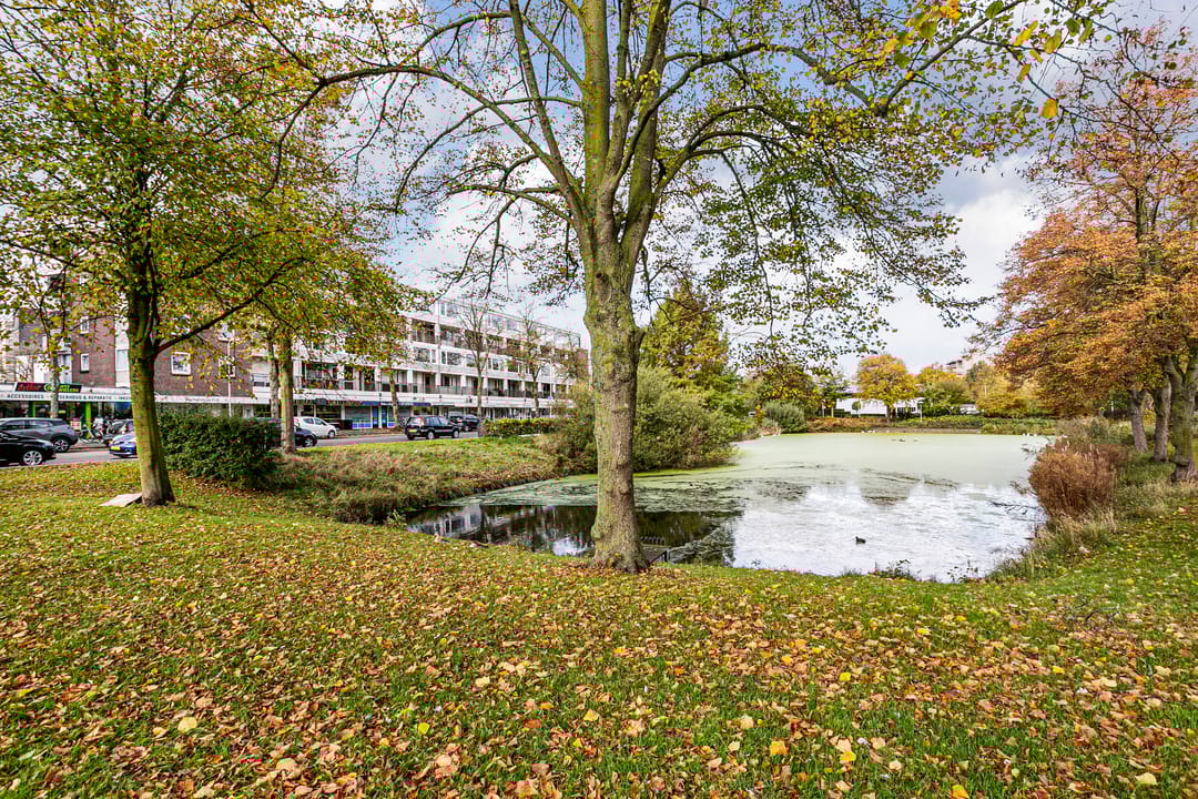 Photo 26 of Van Bijnkershoeklaan 381