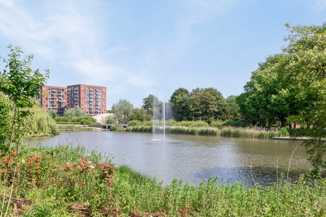 Photo 28 of Van Bijnkershoeklaan 381