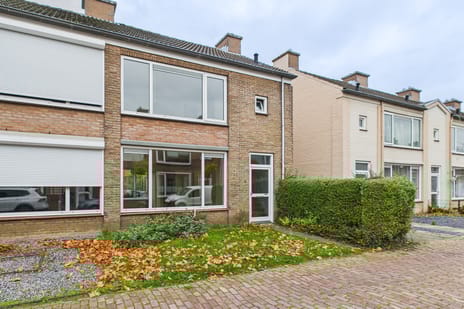 undefined main image