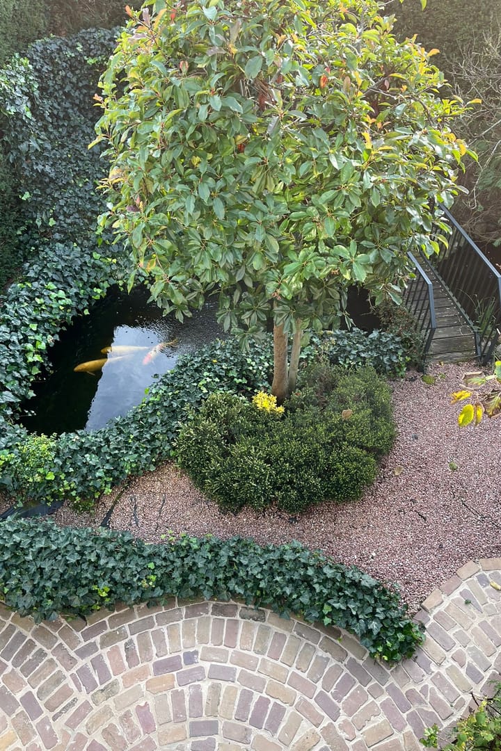 Photo 25 of Andoornweg 36-A