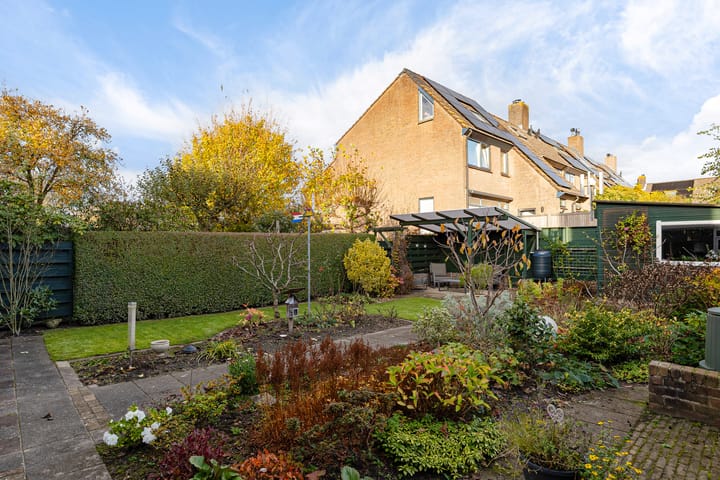 Foto 40 van Rietgorsmeen 50