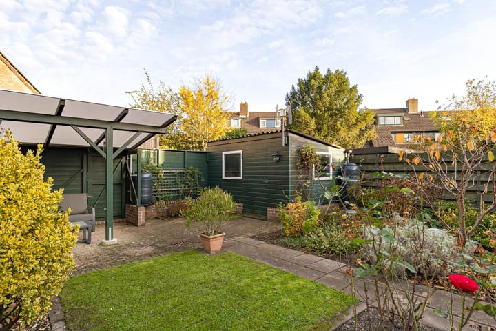 Foto 41 van Rietgorsmeen 50